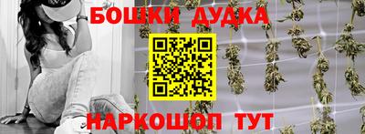 гидропоника Будённовск