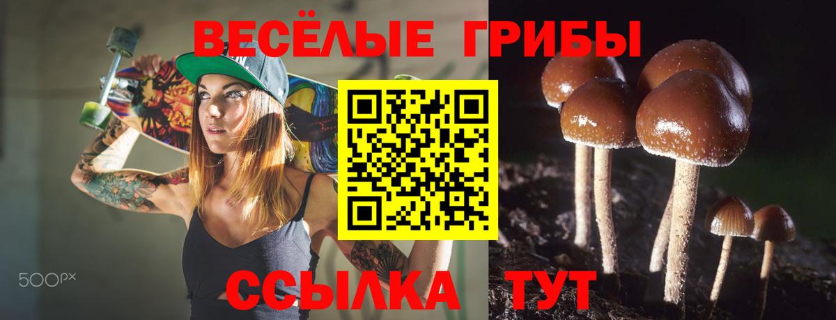 МАРИХУАНА  A PVP СК кристаллы  МЕТАДОН  ЭКСТАЗИ  ГАШИШ  COCAIN  Кулебаки  Мефедрон   Вход с VPN 